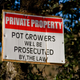 A sign posted in Mendocino county.